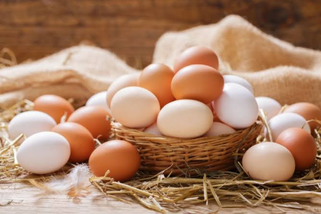 Como substituir ovos em qualquer receita: guia completo